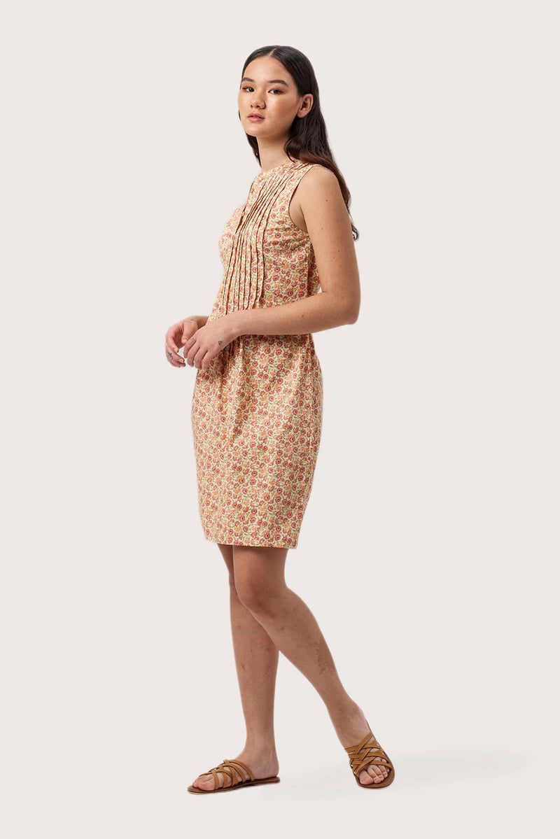 Garden Dress Blessing Spring