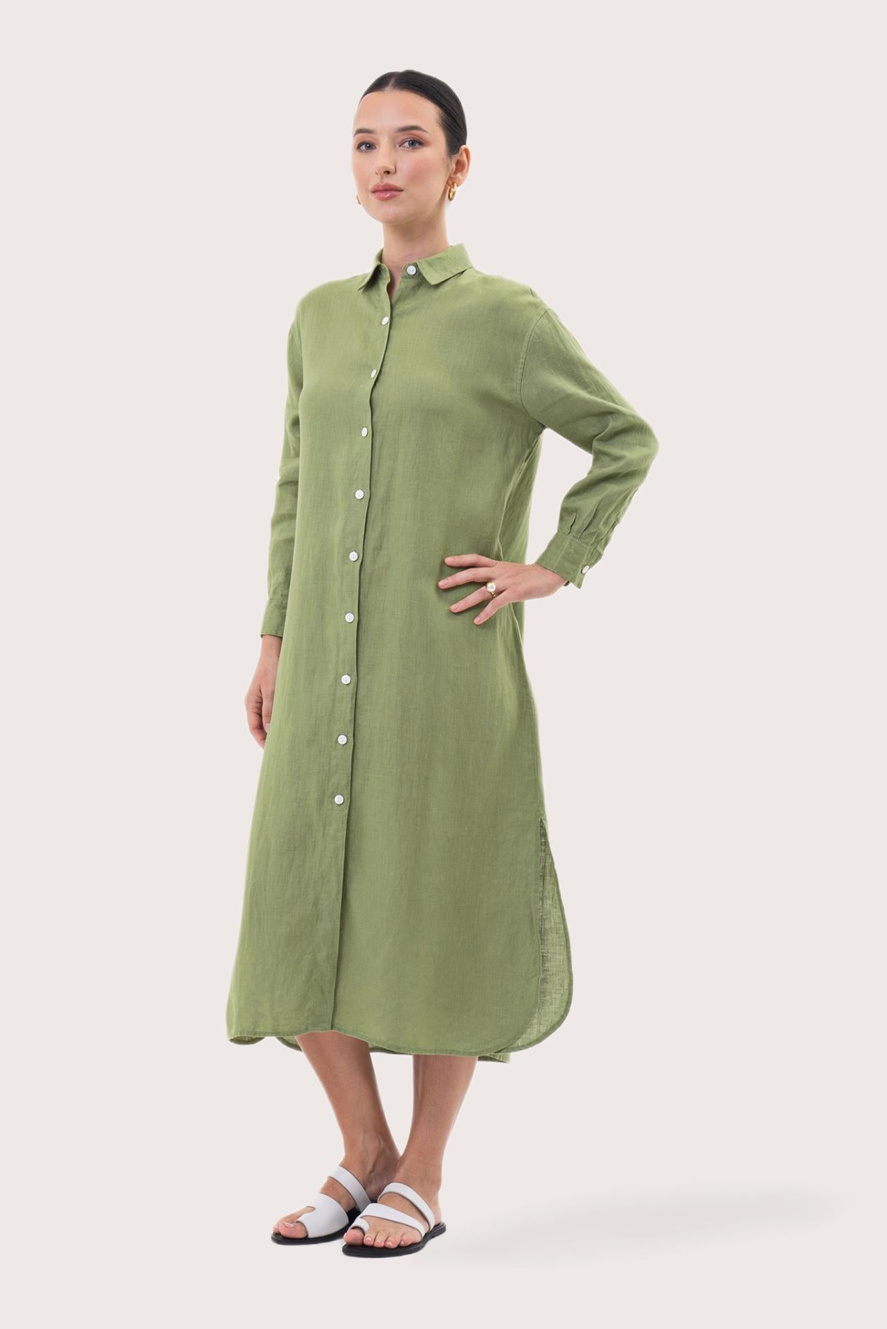 Paola Long Sleeve Maxi Dress Green