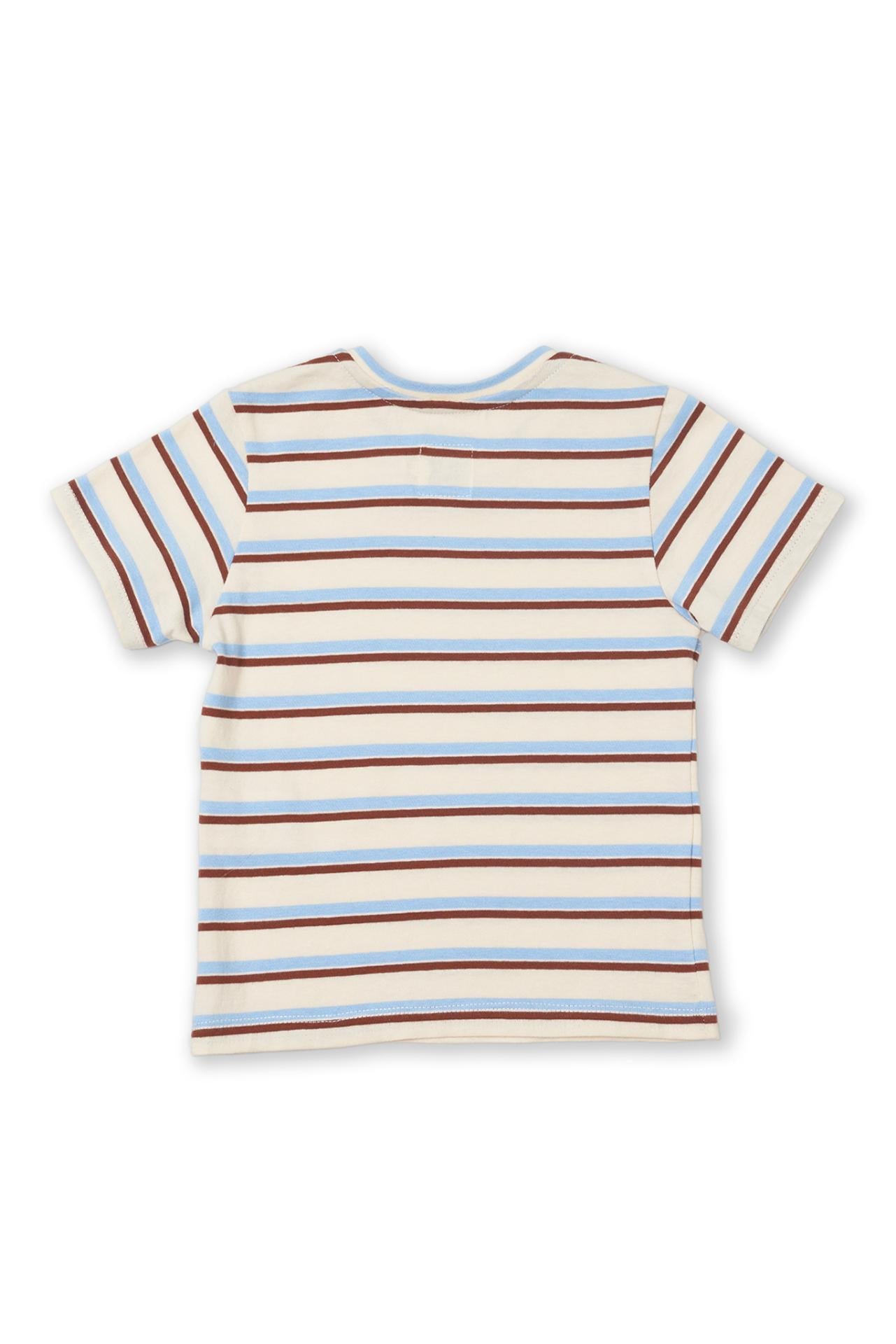 Classic back view of the Brody Kids Cotton T-shirt in Stripe