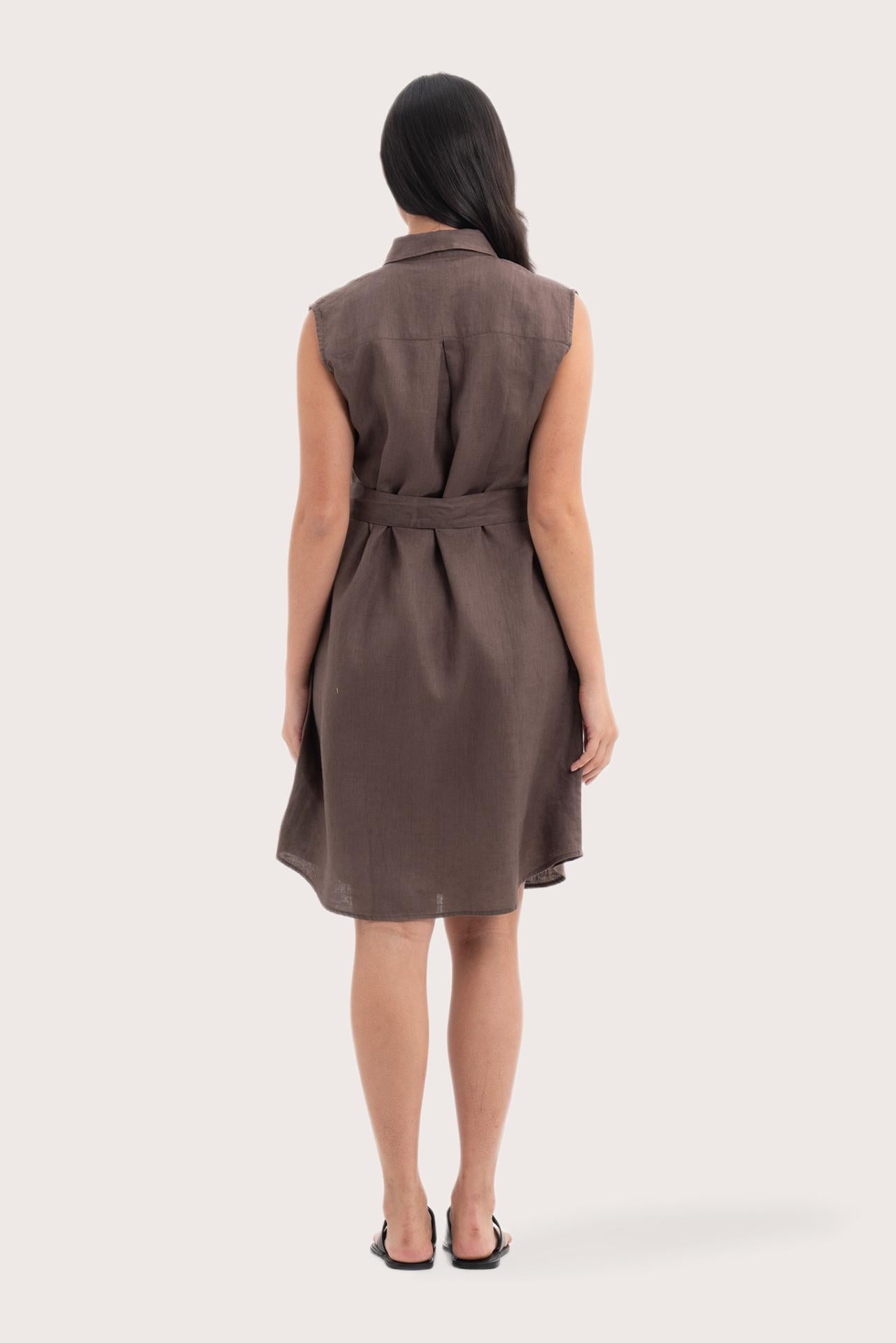 Back view of the Noelani Sleeveless Linen Dress Dark Brown highlighting the garment shape and drape