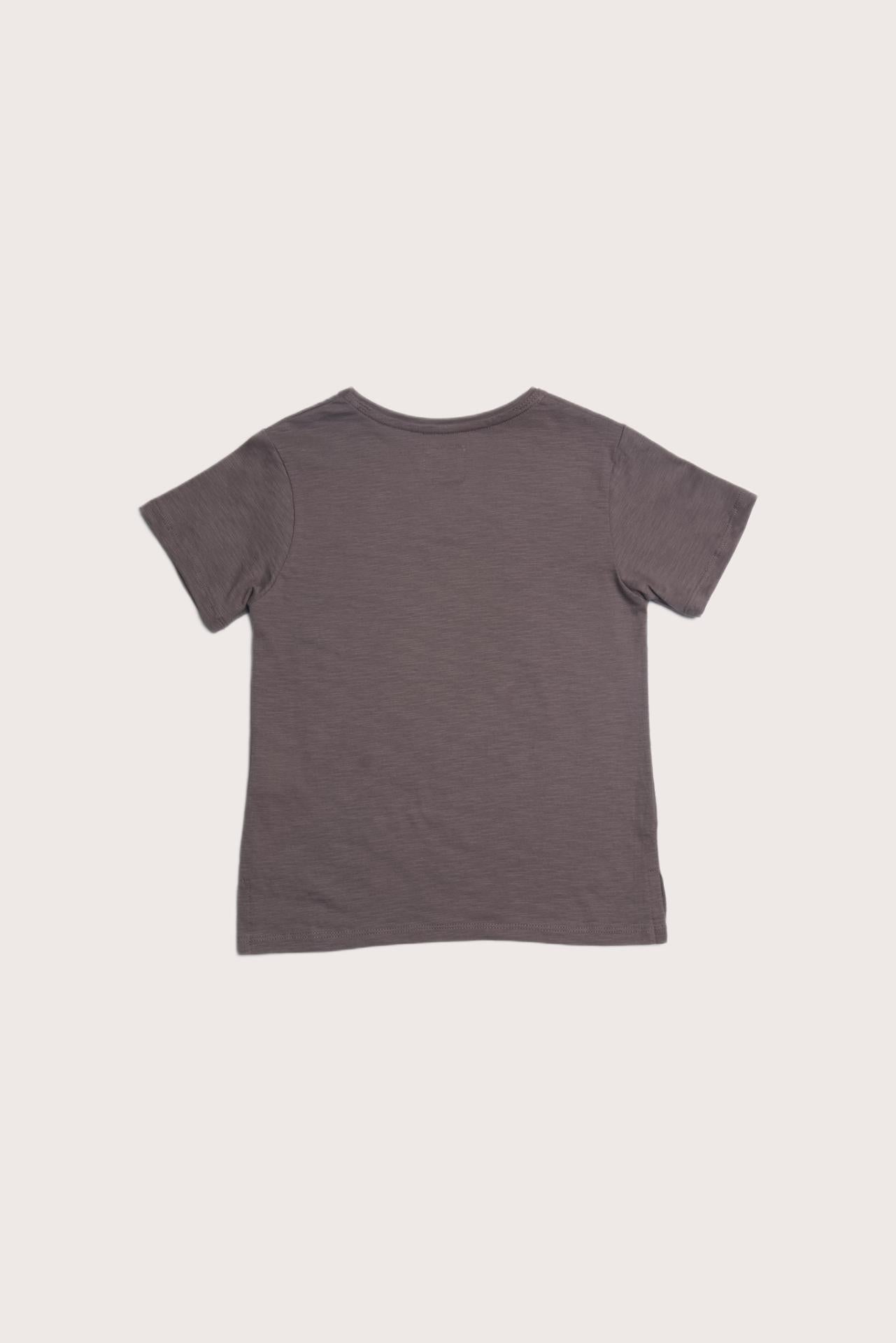 Classic back view of the Short Sleeve V-neck T-shirt in Brown