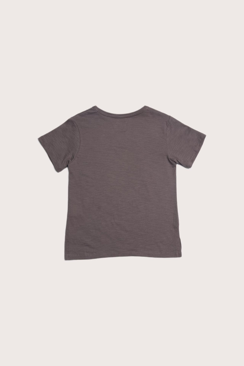Classic back view of the Short Sleeve V-neck T-shirt in Brown