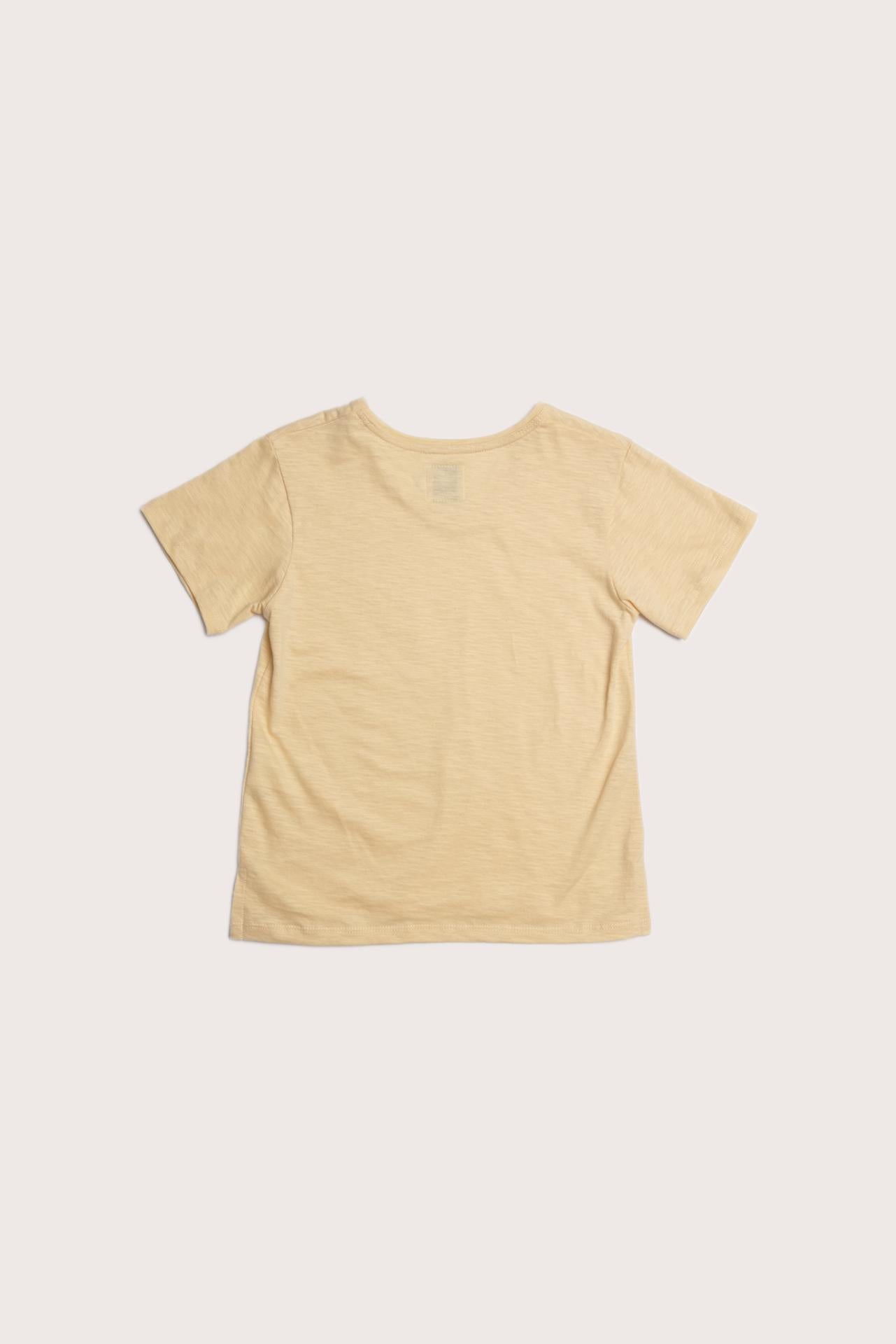 Classic back view of the Short Sleeve V-neck T-shirt in Light Yellow